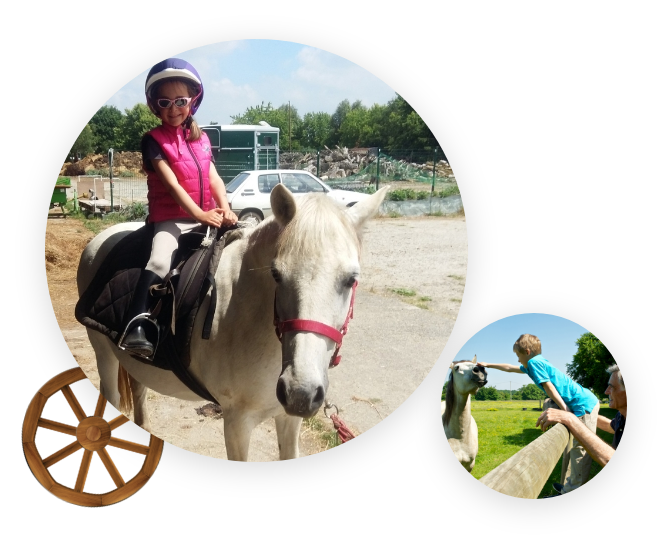 Moulin Du Bois Pensions Pour Chevaux Rennes Les Valeurs De Notre Entreprise