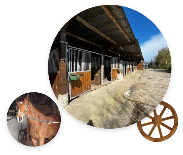 Moulin Du Bois Pensions Pour Chevaux Rennes MOULIN DU BOIS Lentreprise Moulin Du Bois Pensions Pour Chevaux Rennes MOULIN DU BOIS Lentreprise