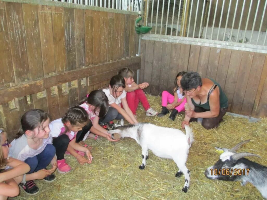 Moulin Du Bois Pensions Pour Chevaux Rennes Organisez Un Gouter Danniversaire 6