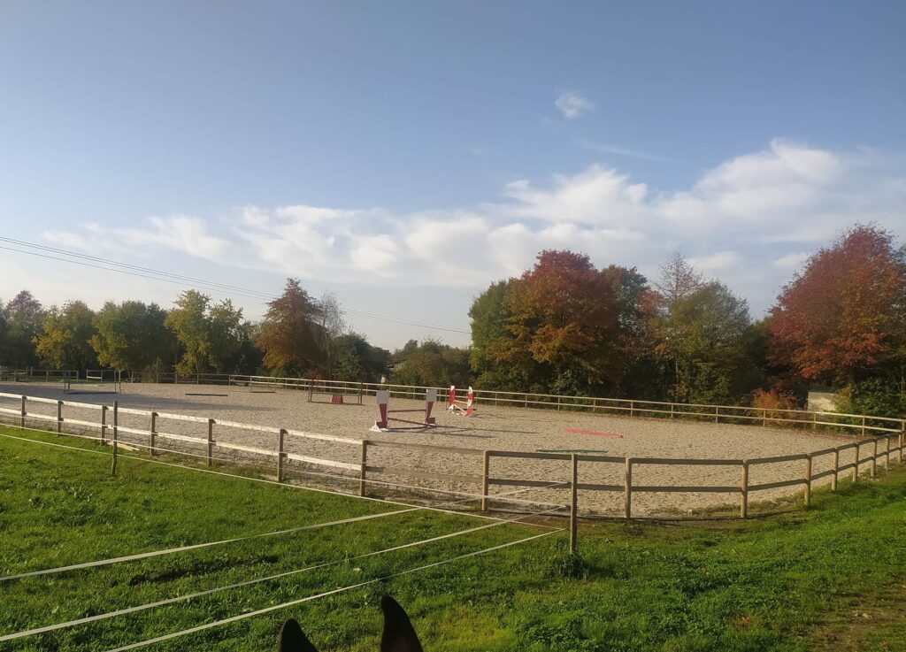 Moulin Du Bois Pensions Pour Chevaux Rennes Un Endroit Unique 1