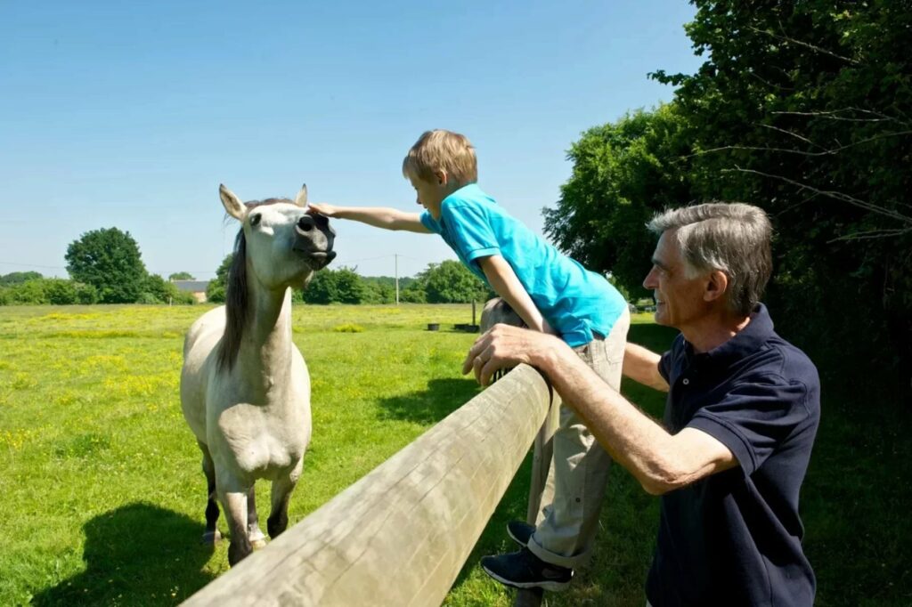 Moulin Du Bois Pensions Pour Chevaux Rennes Balade A Poney 1 1