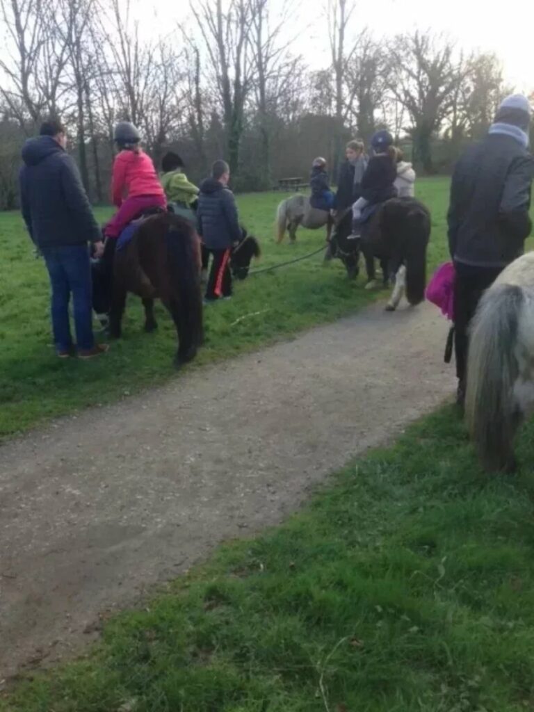 Moulin Du Bois Pensions Pour Chevaux Rennes Balade A Poney 11
