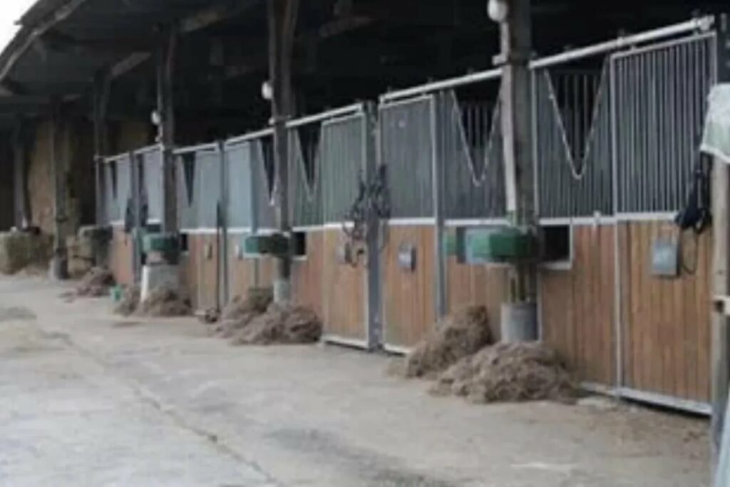 Moulin Du Bois Pensions Pour Chevaux Rennes Balade A Poney 7