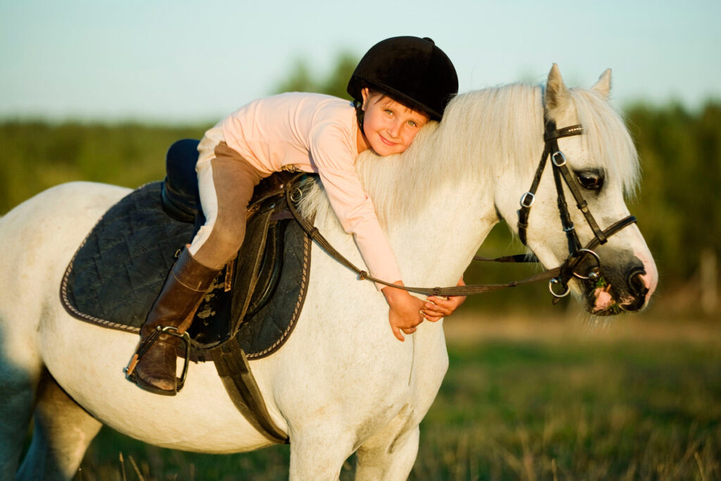 Moulin Du Bois Pensions Pour Chevaux Rennes Balade Poney 1
