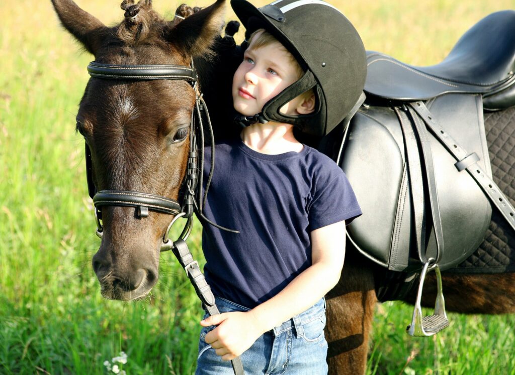 Moulin Du Bois Pensions Pour Chevaux Rennes Balade Poney 2