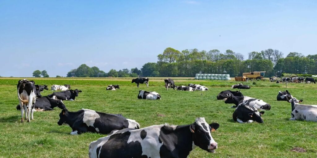 Moulin Du Bois Pensions Pour Chevaux Rennes Ferme Pedagogique 1 1