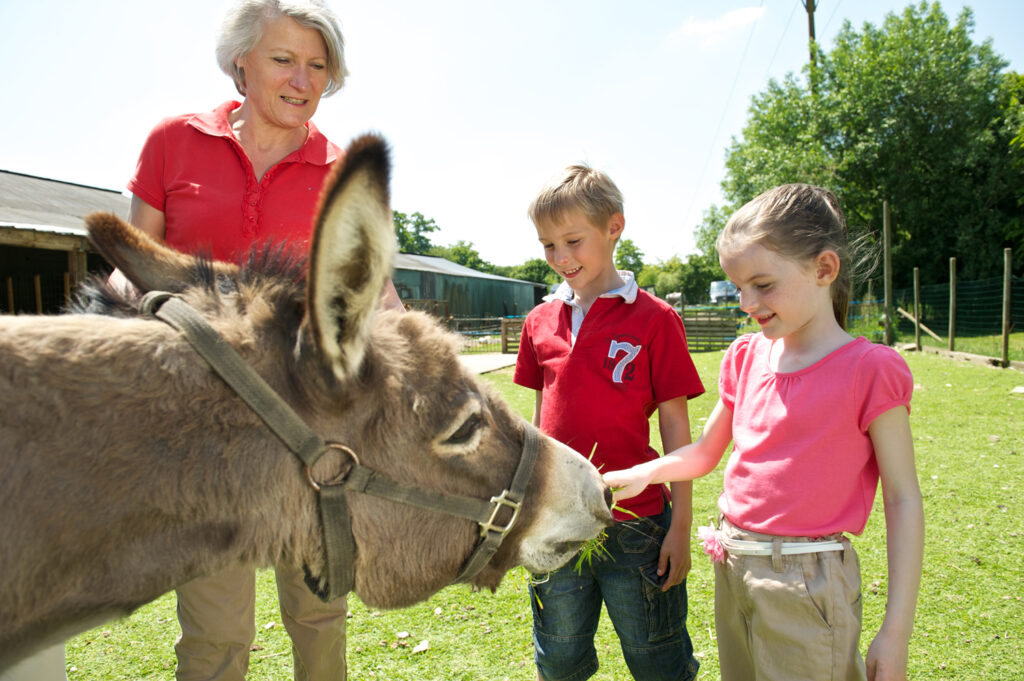 Moulin Du Bois Pensions Pour Chevaux Rennes Ferme Pedagogique 3 1
