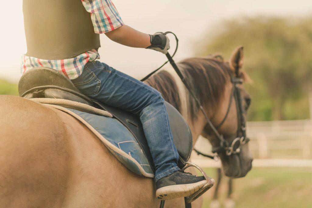 Moulin Du Bois Pensions Pour Chevaux Rennes Groupes Scolaires 3