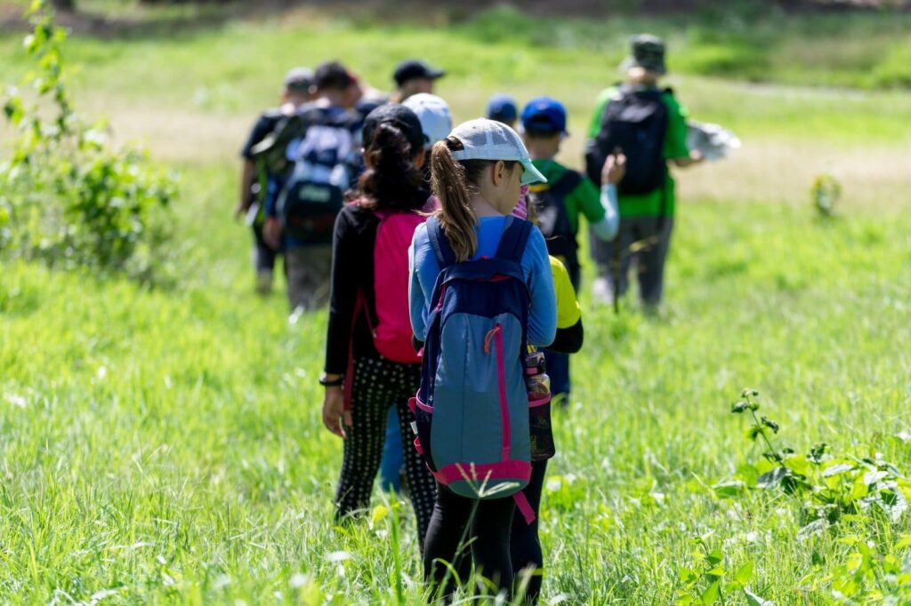 Moulin Du Bois Pensions Pour Chevaux Rennes Groupes Scolaires 4