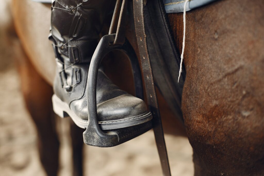 Moulin Du Bois Pensions Pour Chevaux Rennes Pension Chevaux 1
